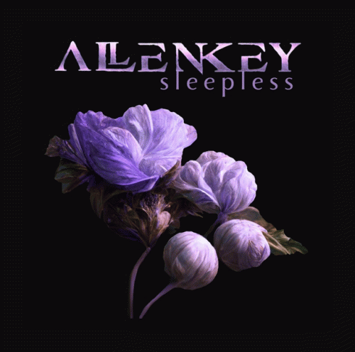 Allen Key : Sleepless